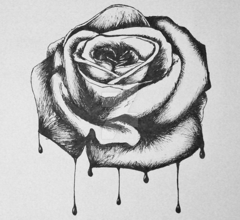 933x856 bloody rose - Bloody Rose Drawing