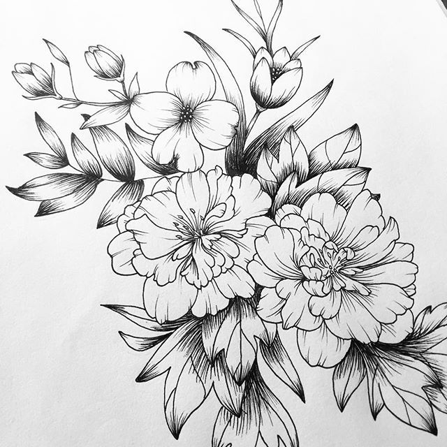 640x640 Up Close - Bloom Drawing
