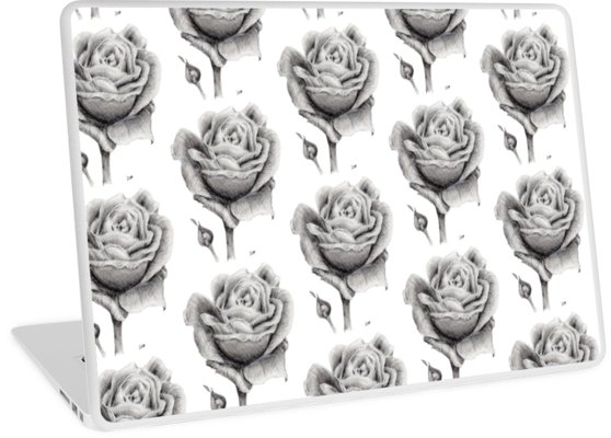 558x400 blooming rose drawing - Blooming Rose Drawing