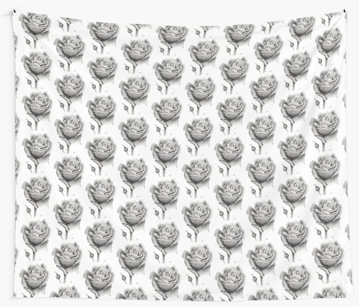 705x602 blooming rose drawing - Blooming Rose Drawing