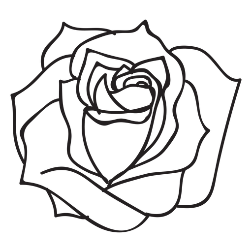 512x512 blooming rose stroke icon flower - Blooming Rose Drawing