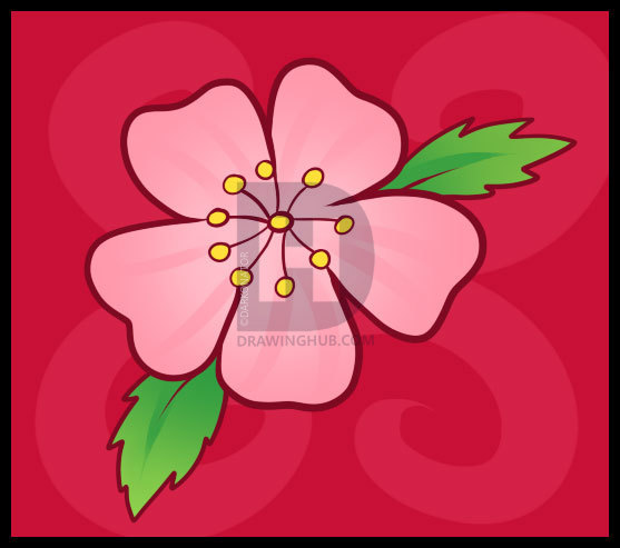 557x493 How To Draw A Cherry Blossom, Step - Blossom Drawing