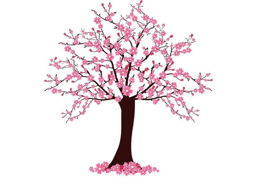 Blossom Tree Drawing At Paintingvalley Com Explore Collection Of