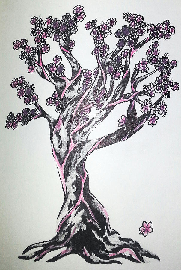 604x900 Cherry Blossom Tree Drawing - Blossom Tree Drawing