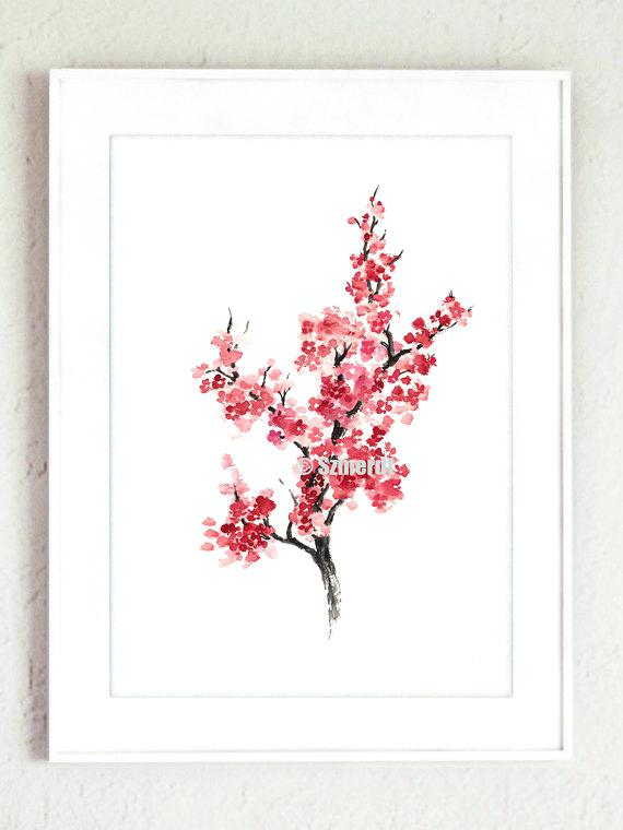570x760 Cherry Blossum Tree Japanese Cherry Blossom Tree Seeds For Sale - Blossom Tree Drawing
