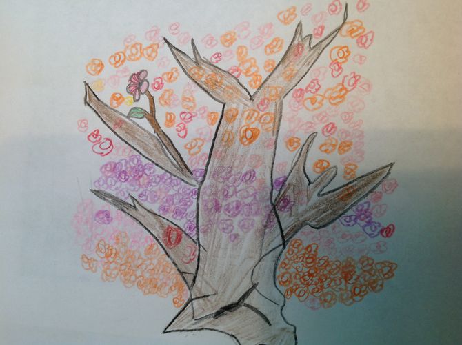 670x500 How To Draw A Cherry Blossom Steps - Blossom Tree Drawing