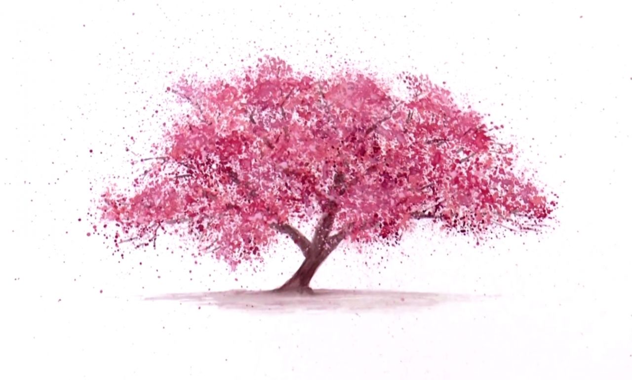 1280x769 Cherry Blossom Tree Drawing Wallpapers Zones - Blossom Tree Drawing