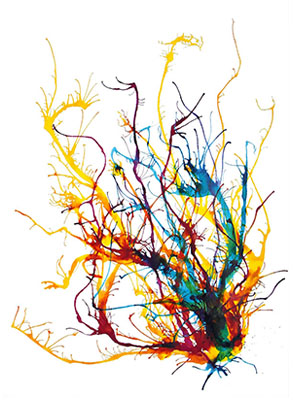 294x400 blowdrawings - Blow Drawing