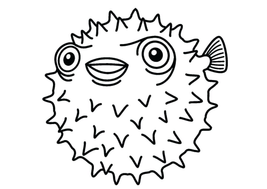 Puffer Fish Drawing Easy Step By Step