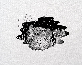 340x270 Blowfish Drawing Etsy - Blowfish Drawing