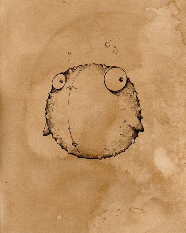 600x752 Corky The Blowfish - Blowfish Drawing