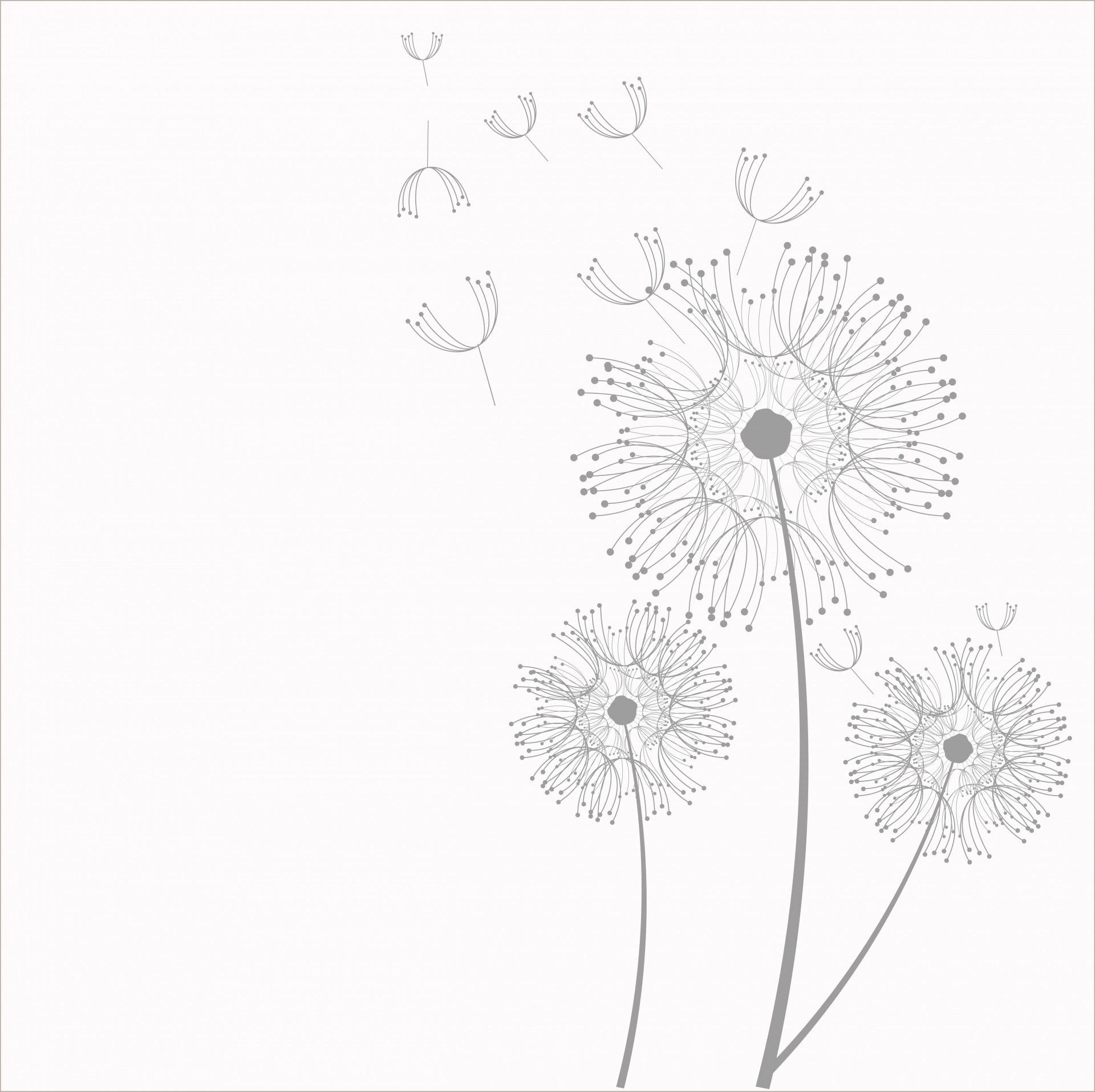 1920x1916 dandelion flowers clipart clip art - Blowing Dandelion Drawing