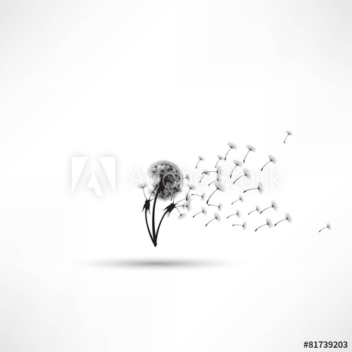 500x500 blowing dandelion vector - Blowing Dandelion Drawing