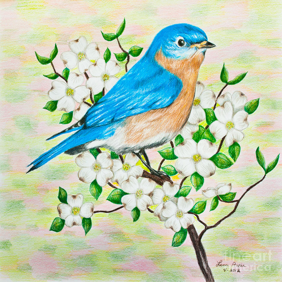 Blue Bird Drawing at PaintingValley.com | Explore collection of Blue ...