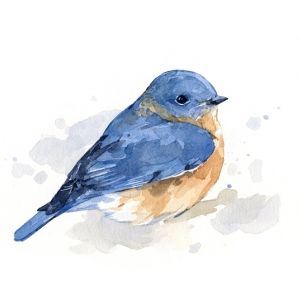 300x300 bluebird watercolor bluebirds watercolor paintings, watercolor - Blue Bird Drawing