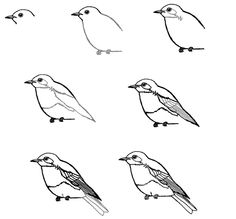 236x219 how to draw a blue bird step - Blue Bird Drawing