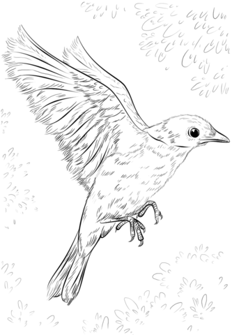 333x480 blue bird flying coloring - Blue Bird Drawing