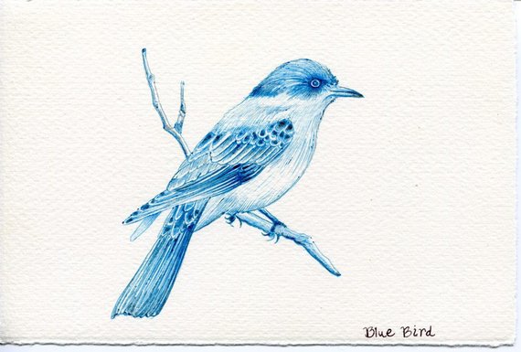 570x385 blue bird one of a kind original drawing etsy - Blue Bird Drawing