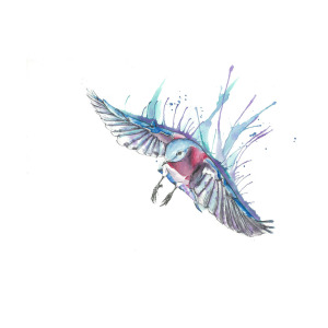 300x300 bluebird in flight drawingpainting ink and watercolor mixed media - Blue Bird Flying Drawing