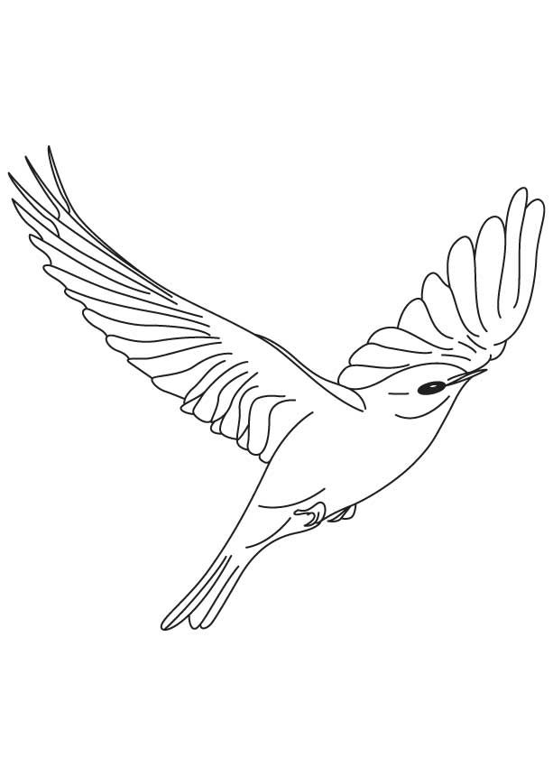 613x860 How To Draw A Bird Step - Blue Bird Flying Drawing