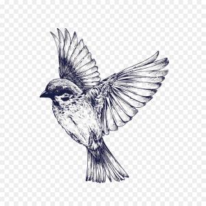 300x300 photostock vector flying blue bird in cartoon style on transparent - Blue Bird Flying Drawing