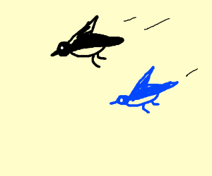 300x250 black and blue bird flying drawing - Blue Bird Flying Drawing