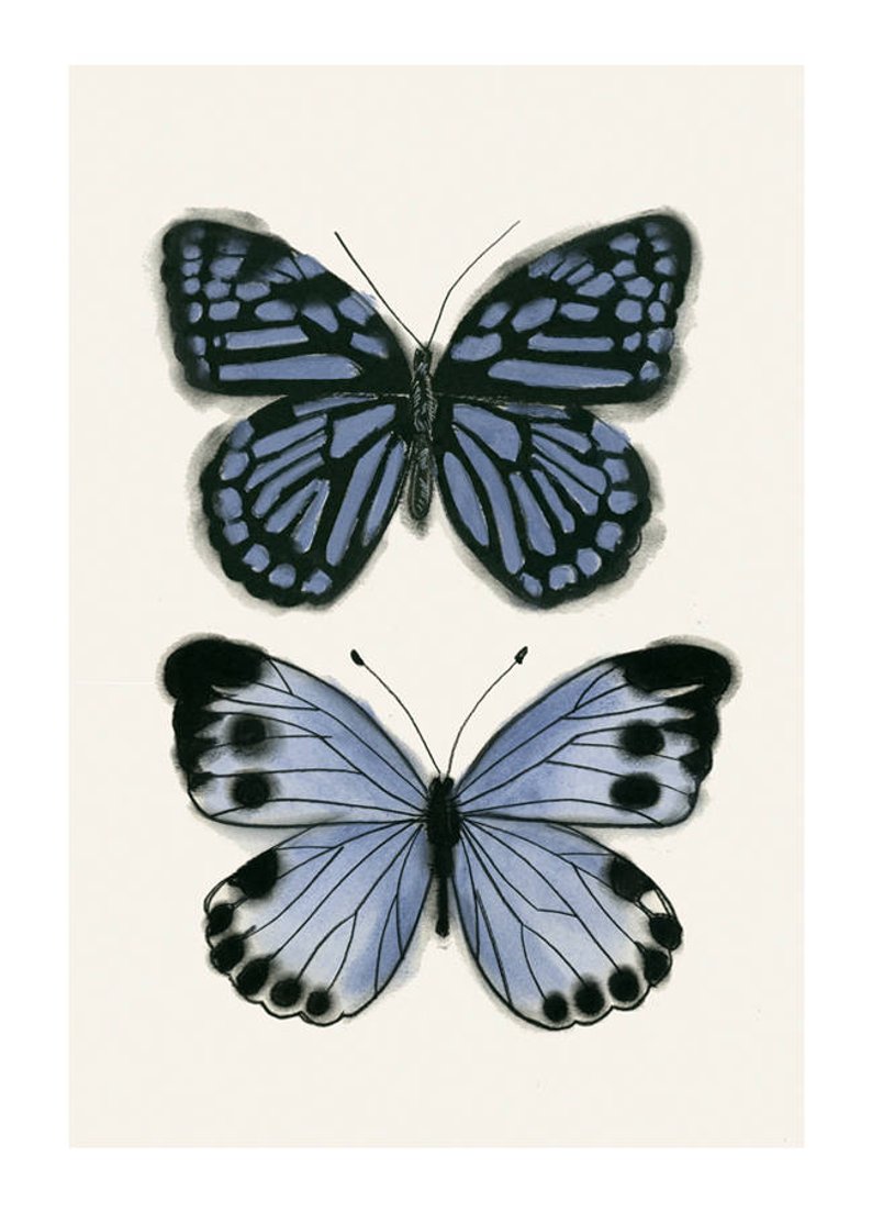 794x1104 butterfly art drawing blue butterflies x etsy - Blue Butterfly Drawing