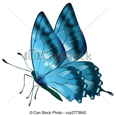 450x448 drawing of blue butterfly in a white background - Blue Butterfly Drawing
