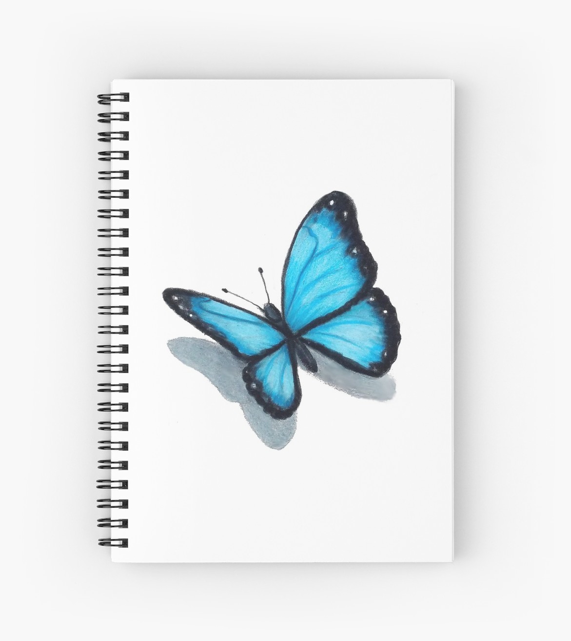 1171x1313 blue butterfly, colour pencil drawing, art spiral notebooks - Blue Butterfly Drawing