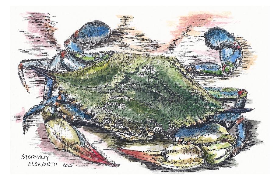 900x600 Blue Crab Drawing - Blue Crab Drawing