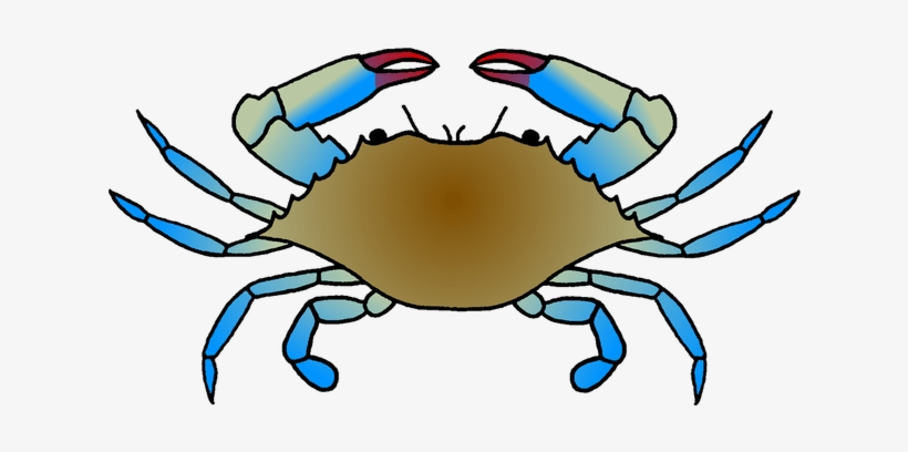 820x408 Blue Crab Galleries Panda Images - Blue Crab Drawing