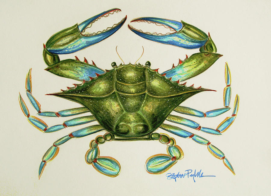 Blue Crab Drawing At Paintingvalley.com 