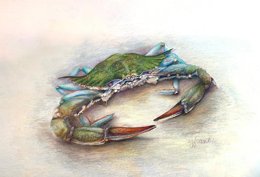 Blue Crab Drawing at PaintingValley.com | Explore collection of Blue ...