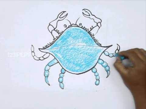 480x360 How To Draw A Blue Crab - Blue Crab Drawing
