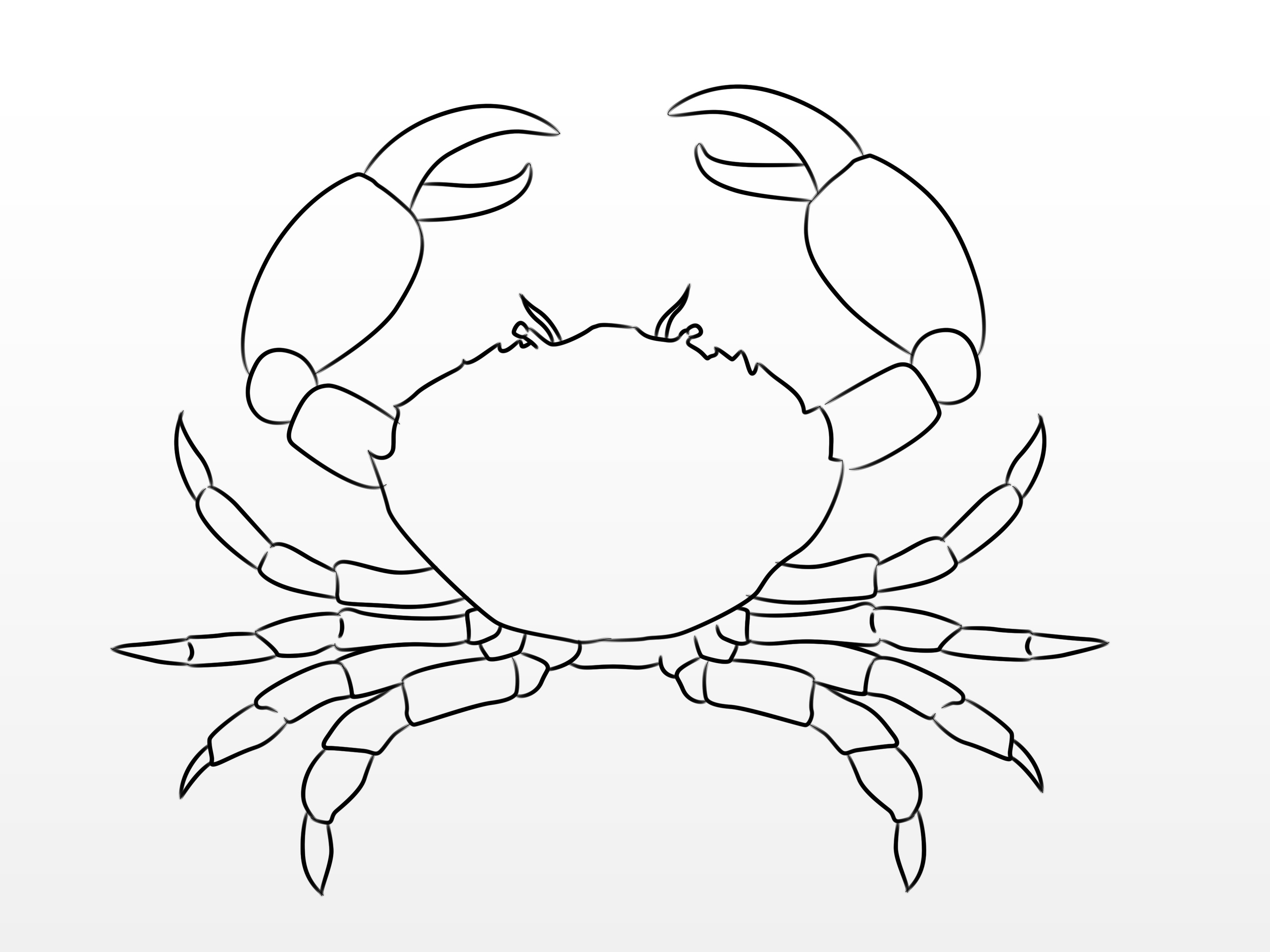 3200x2400 How To Draw A Crab Steps - Blue Crab Drawing