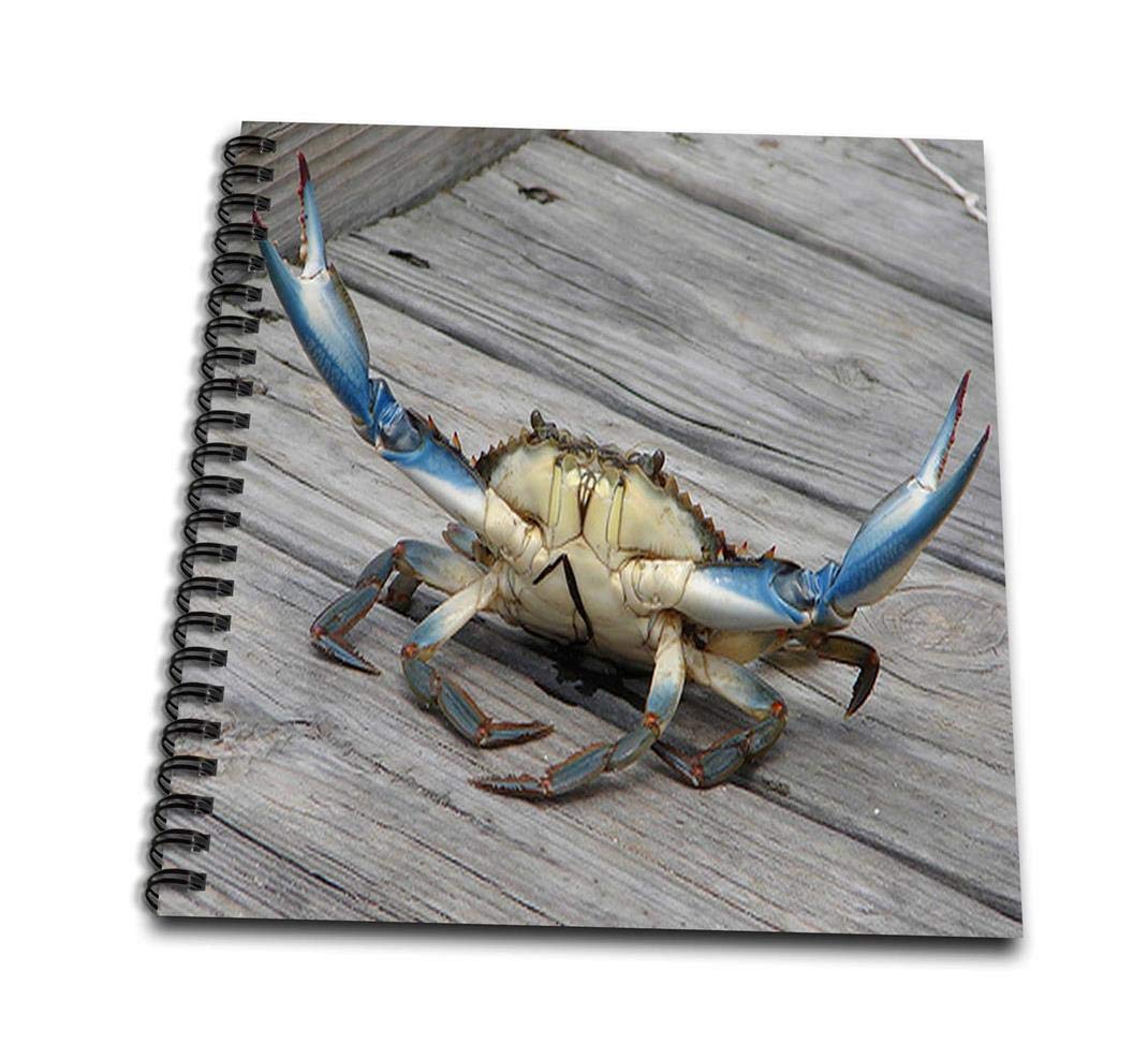 1070x973 Db Blue Crab Marine, Creature, Animal - Blue Crab Drawing