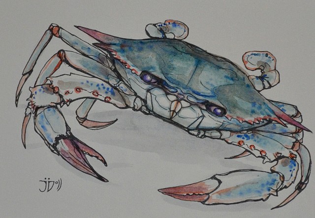640x444 The Nahimana The Art Of Jennie Doll - Blue Crab Drawing