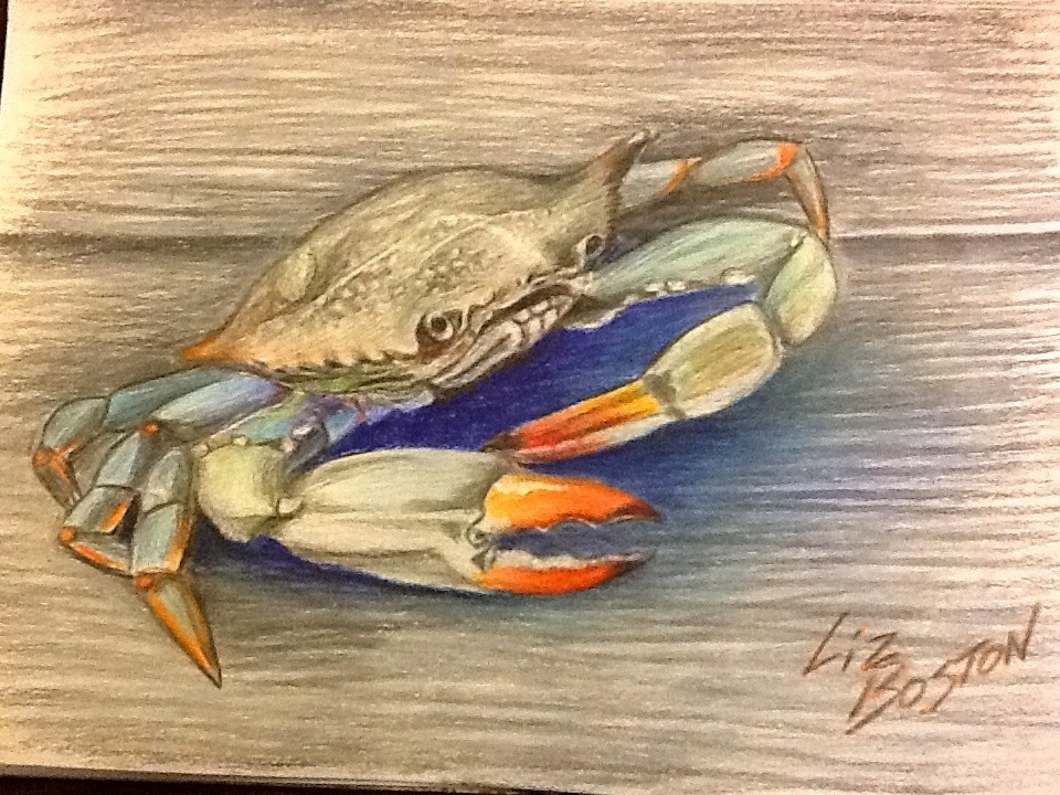 960x720 Blue Crab If Only Thoughts Were Brush Strokes - Blue Crab Drawing