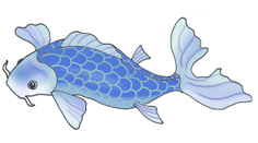 236x131 Colorful Koi Fish Drawings - Blue Drawings