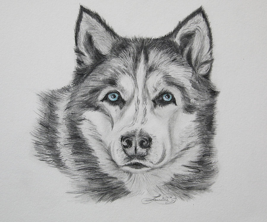 900x750 blue eyes drawing - Blue Eyes Drawing