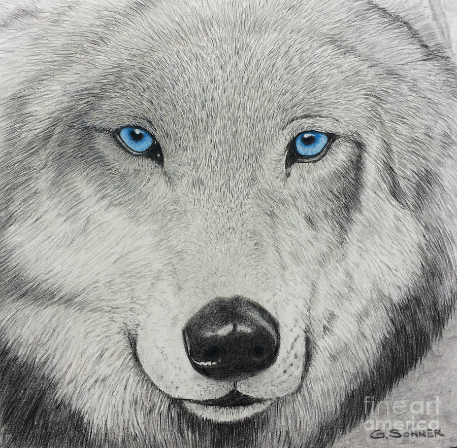 900x884 blue eyes drawing - Blue Eyes Drawing