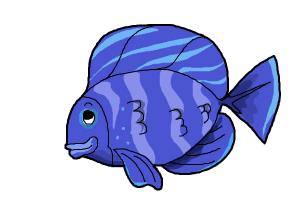 300x200 How To Draw A Fish - Blue Fish Drawing