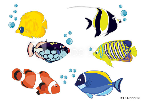 500x354 drawing fishes, illustration, fish crown, yellow fish, blue fish - Blue Fish Drawing