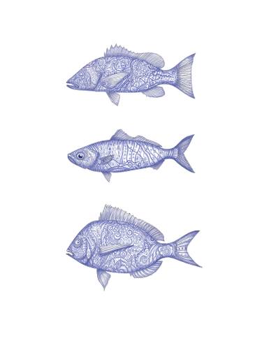 375x491 Blue And White Fish Drawing - Blue Fish Drawing