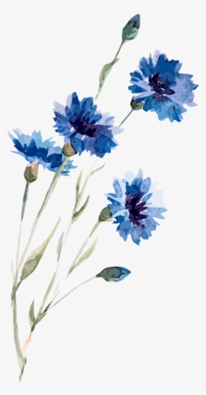 300x574 flower drawing png, transparent flower drawing png image free - Blue Flower Drawing
