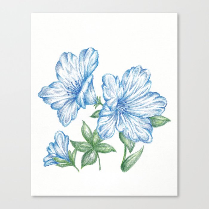 700x700 flower drawing print blue, azalea botanical art canvas print - Blue Flower Drawing