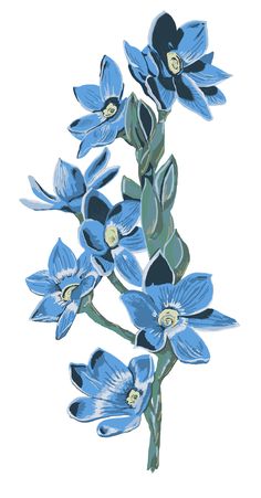 236x451 Australian Grevillea Flowers Pink Cream Flower Drawings - Blue Flower Drawing