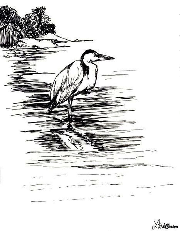 701x900 great blue heron drawing - Blue Heron Drawing