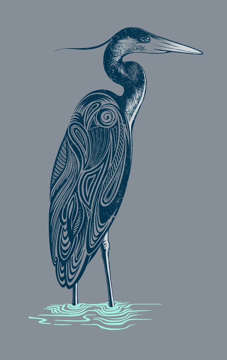 758x1200 blue heron drawing - Blue Heron Drawing