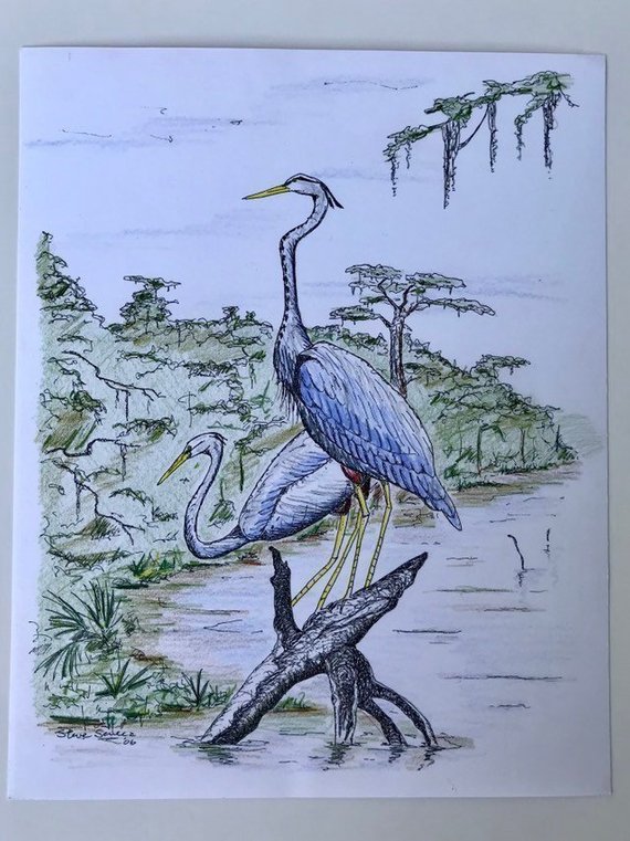 570x761 blue heron bird pen and ink drawing louisiana home decor etsy - Blue Heron Drawing